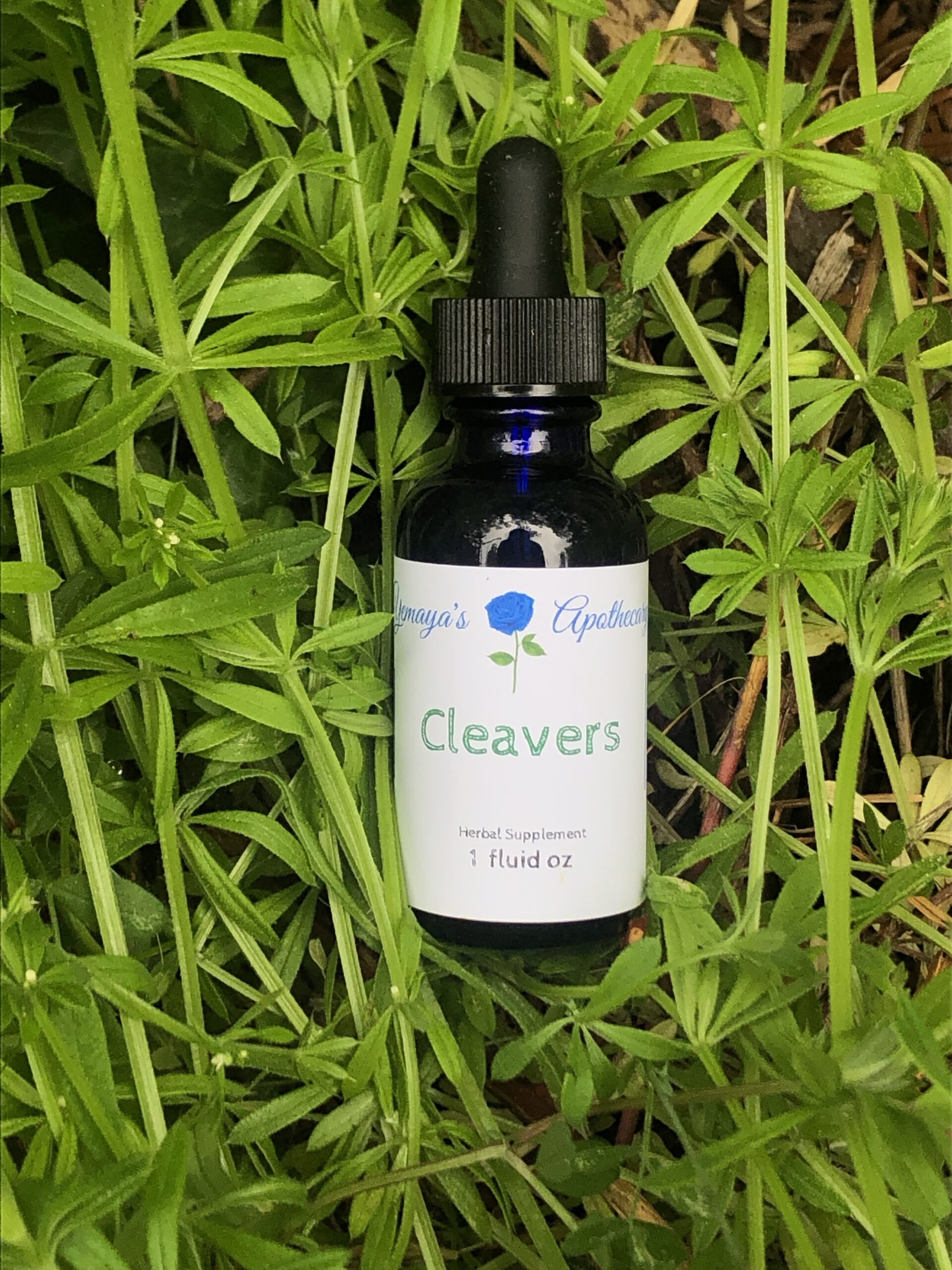 How To Take Cleavers Tincture